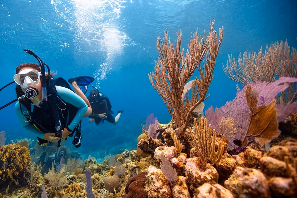 Hurghada Red Sea Diving