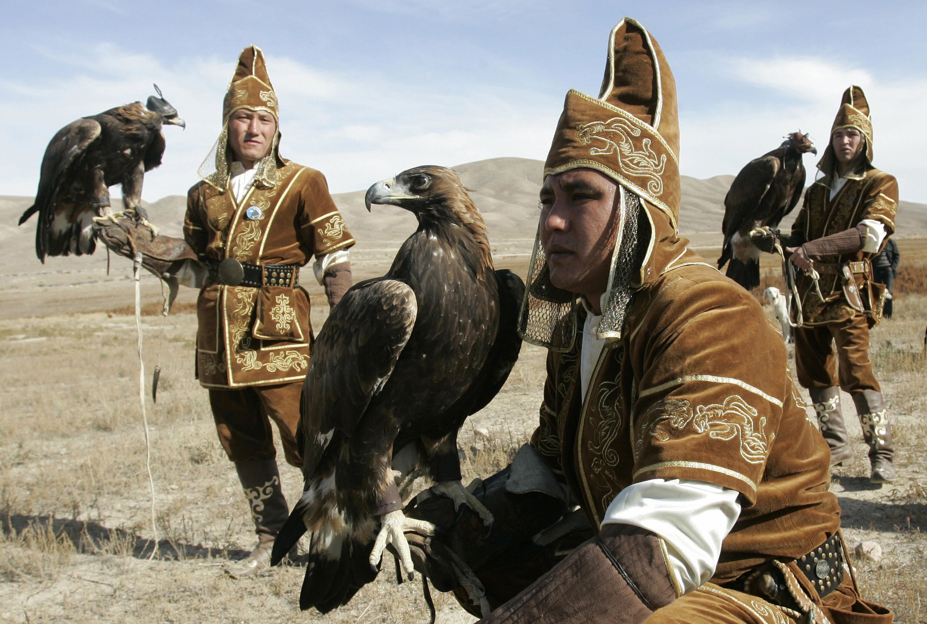 Golden Eagle & Falconry Show