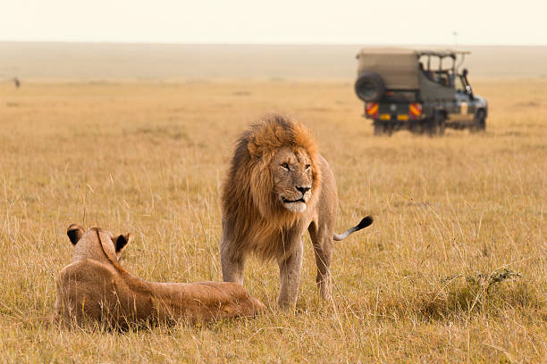 Masai Mara Game Reserve – photo 1