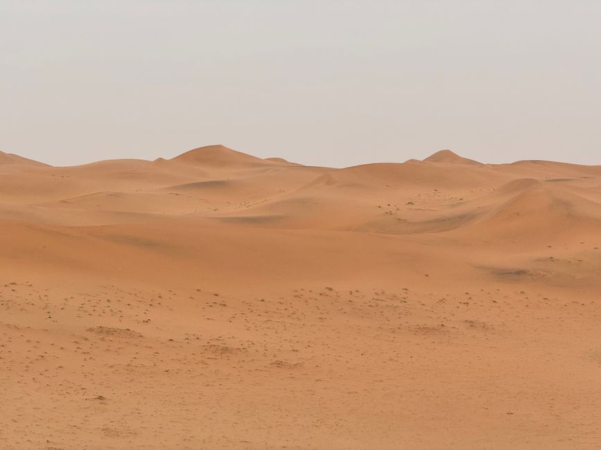 Empty Quarter (Rub' al Khali)
