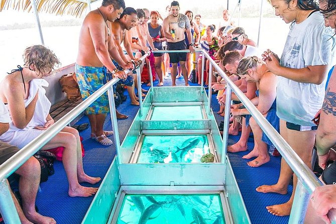 Glass Bottom Boat Reef Adventure