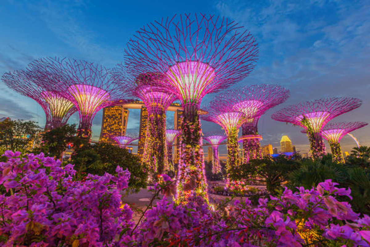 Gardens by the Bay