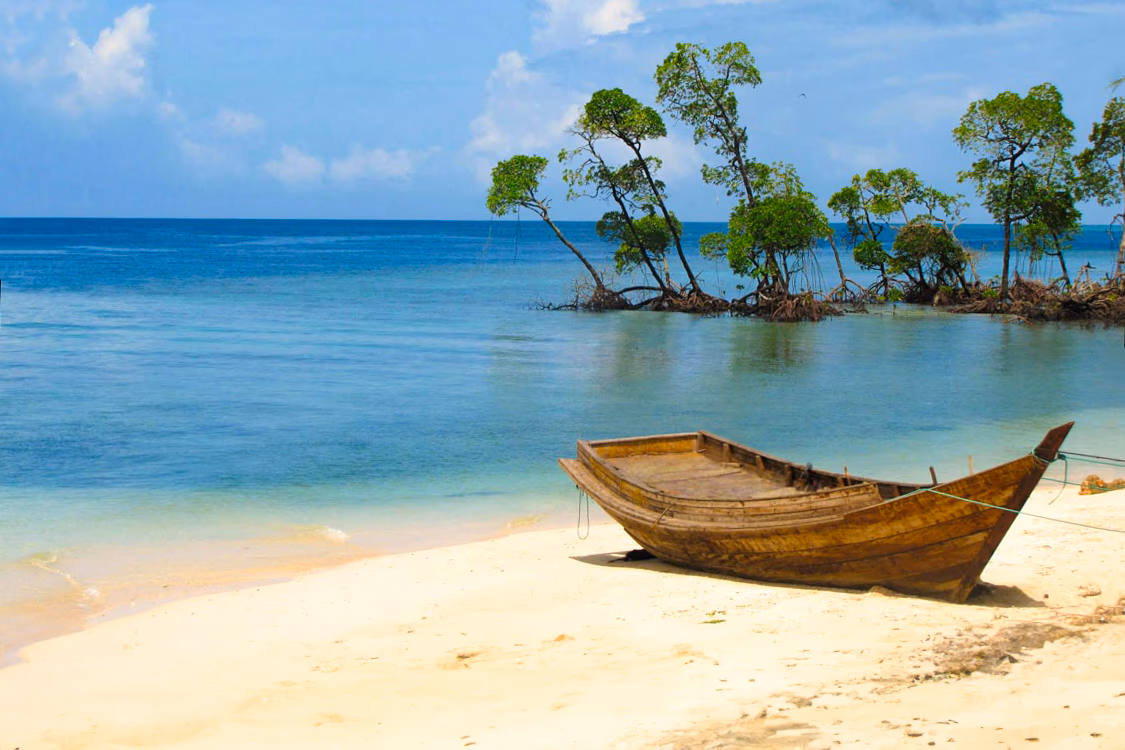 Elephanta Beach — Coral Reef & Water Sports