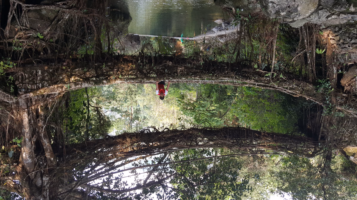Double Decker Living Root Bridge