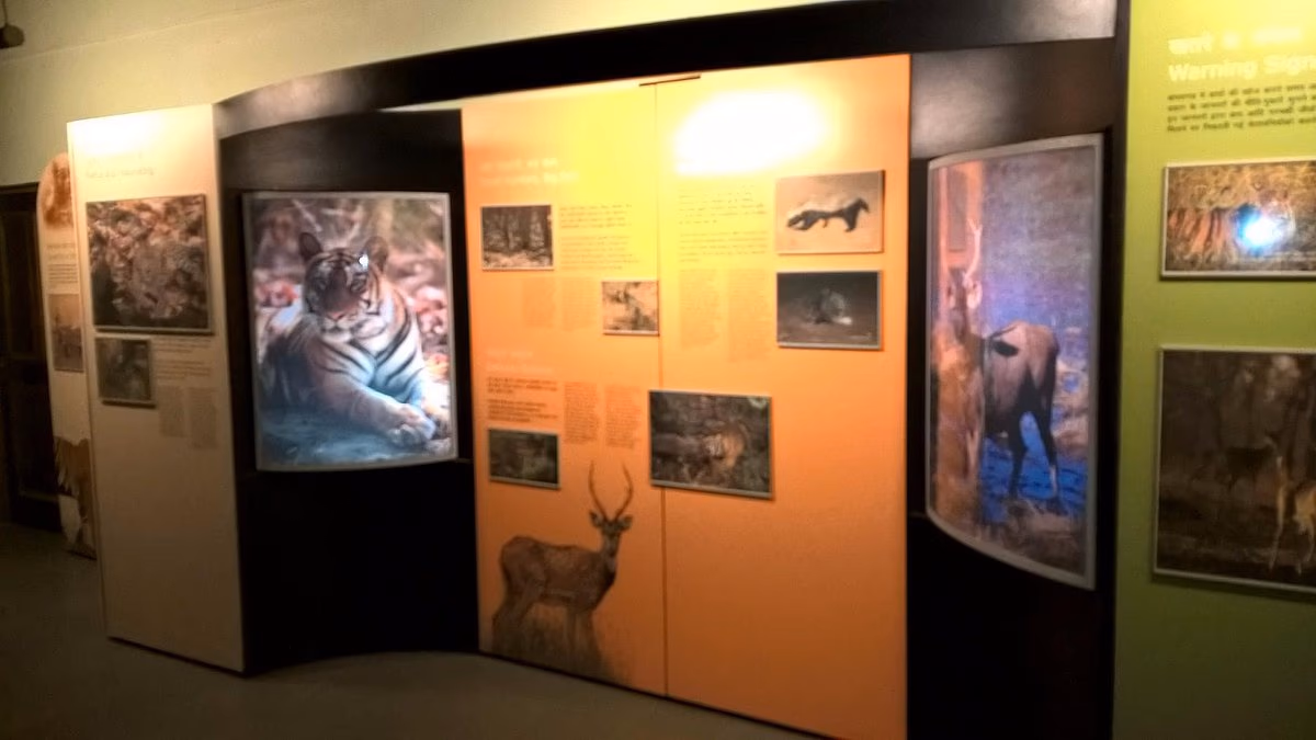 Baghel Museum
