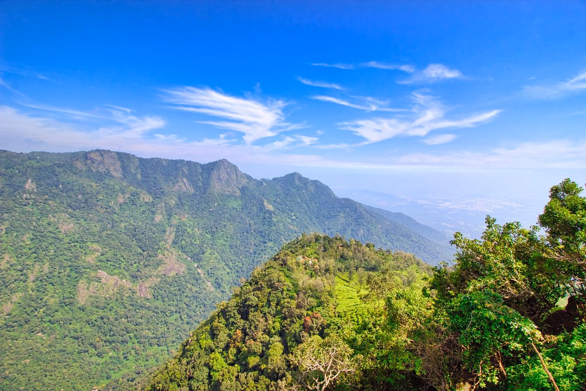 Coonoor & Dolphin Nose