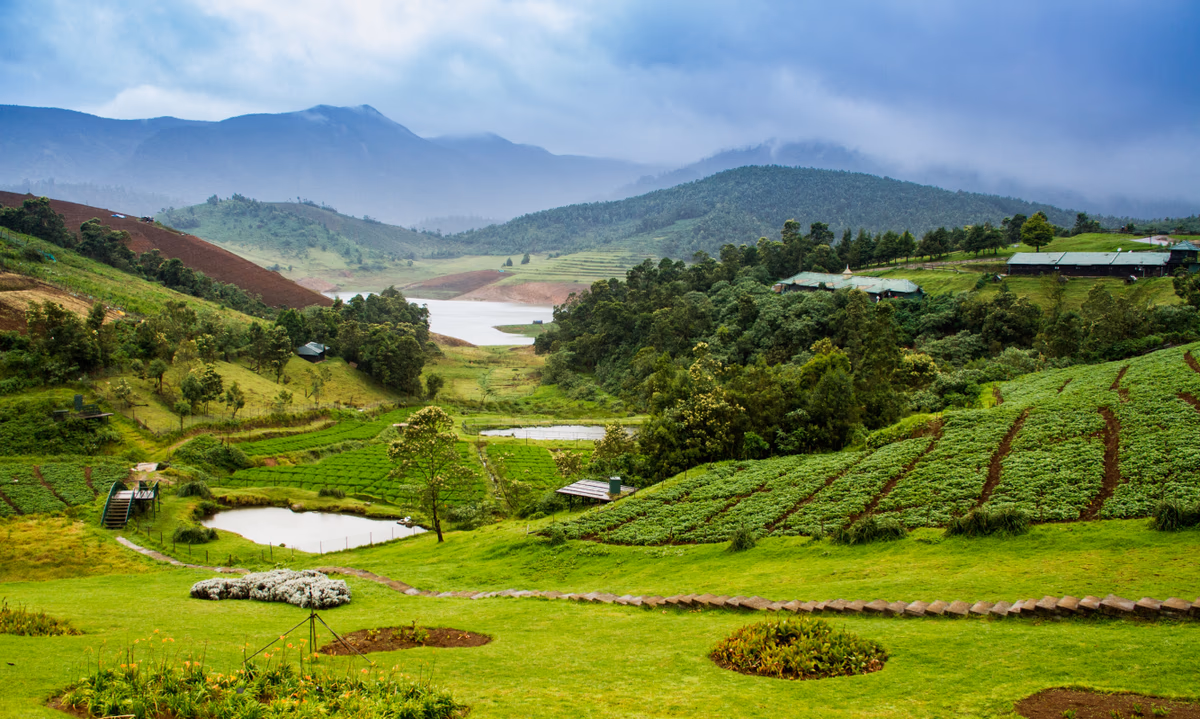 Ooty — Lake, Gardens & Museum