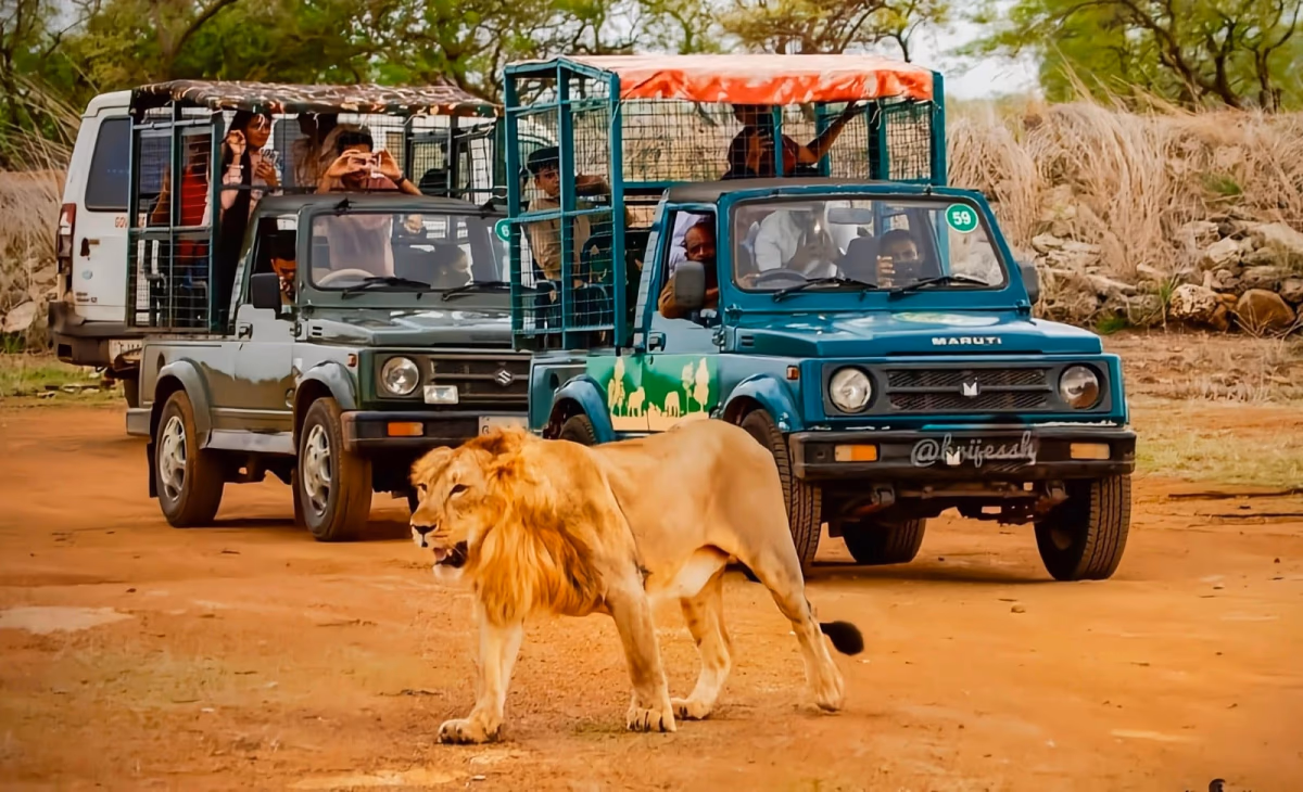 Devalia Safari Park