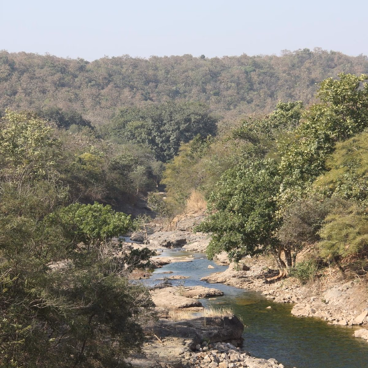 Kamleshwar Dam