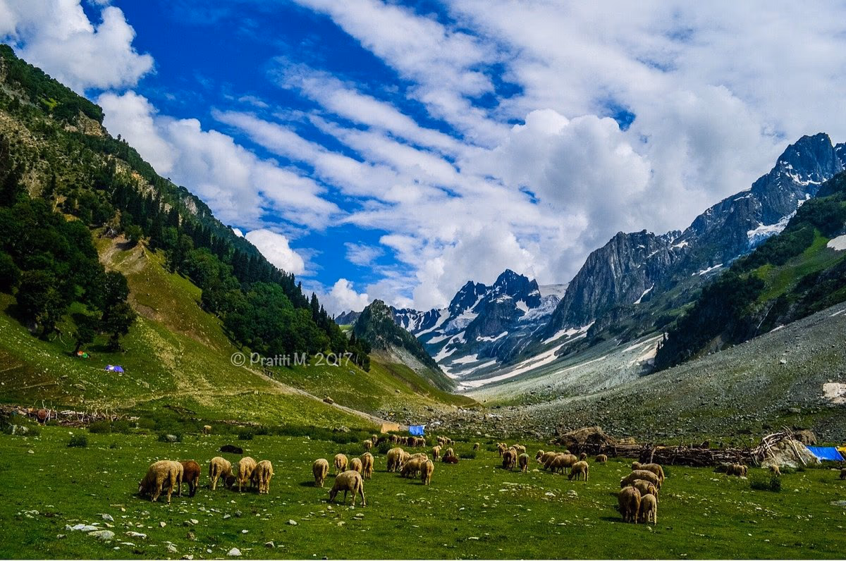 Sonamarg