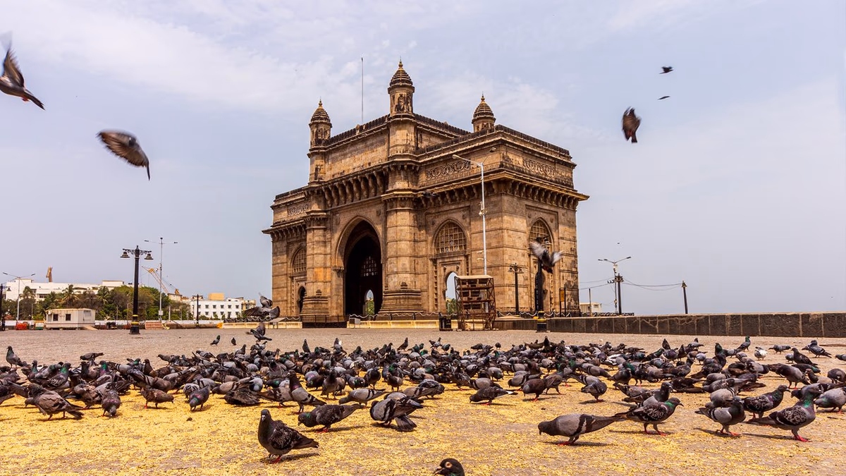 Gateway of India & Elephanta Caves