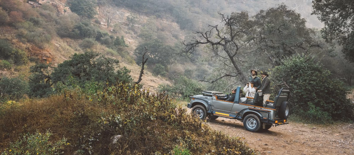 Ranthambore Tiger Safari